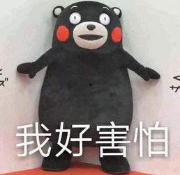 热门吃瓜事件盘点视频,揭秘网络热议瞬间