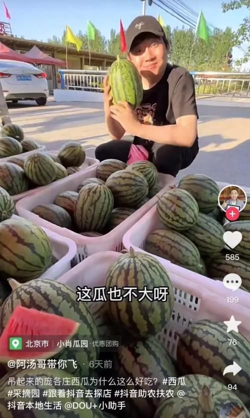 抖音热门邯郸魏县吃瓜,吃瓜群众的热闹盛宴