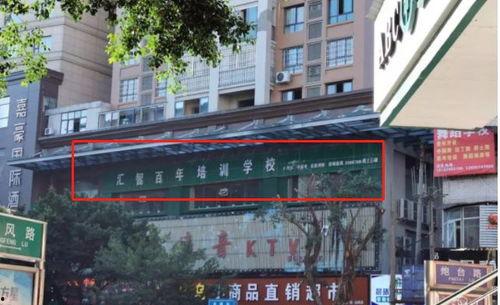 南充明星网红,明星级影响力人物盘点